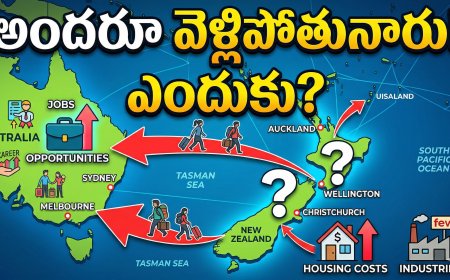 స్వర్గం లాంటి New Zealand ని ఎందుకు వదిలేస్తున్నారు? The Shocking Reality!