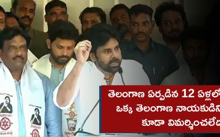 తెలంగాణ ఏర్పడిన 12 ఏళ్లలో ఒక్క నాయకుడిని కూడా విమర్శించలేదు: పవన్ కళ్యాణ్